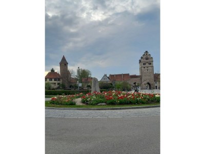 Holiday apartment Metzger - Environment photo 26