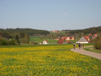 Holiday apartment Metzger - Environment photo 29