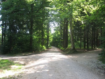 Holiday apartment Metzger - Environment photo 32