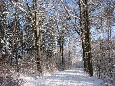 Holiday apartment Metzger - Environment photo 33