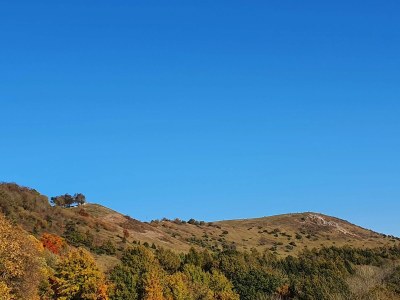 Holiday apartment Metzger - Environment photo 35