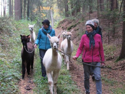 Holiday apartment Metzger - Environment photo 39