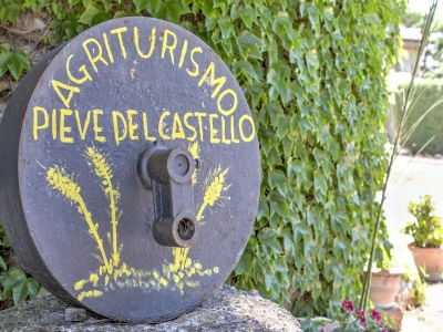 Farmhouse Farmhouse in Marsciano with Pool and Vineyards - Outdoor photo 35