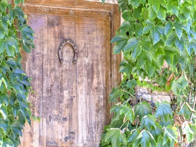 Farmhouse Farmhouse in Marsciano with Pool and Vineyards - Outdoor photo 36