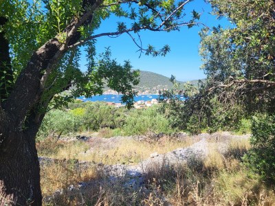 Apartment Villa Octopus 2 - Environment photo 36