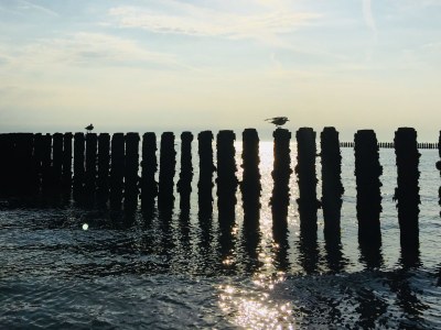 Bungalow Joossesweg 61 - Environment photo 20