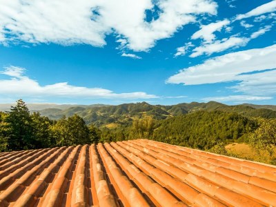 Farmhouse Panoramic Countryside Home - Outdoor photo 14