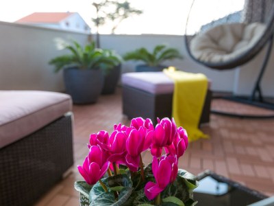 Holiday apartment Magnolia - Outdoor photo 2