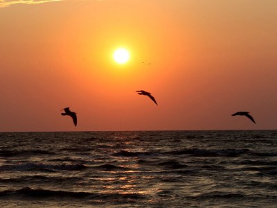 Holiday apartment Monolocale Red - Environment photo 12