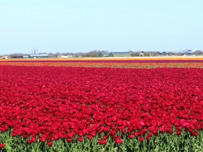 Holiday house Villa Strandzeiten - Environment photo 13