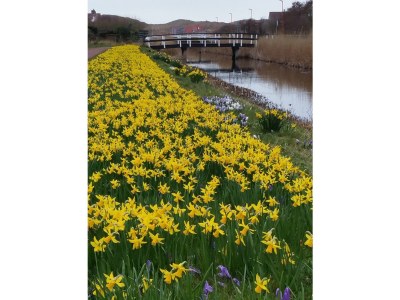 Holiday house Villa Strandzeiten - Document photo 21