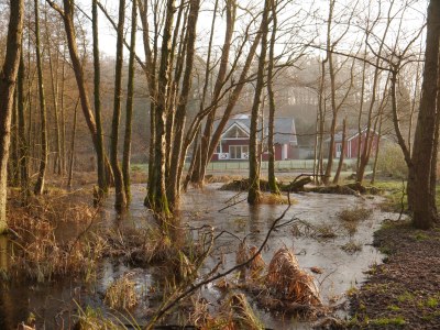 Holiday house Witkowski - Outdoor photo 3