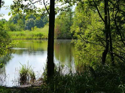 Holiday house Witkowski - Outdoor photo 6