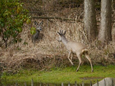 Holiday house Witkowski - Outdoor photo 7