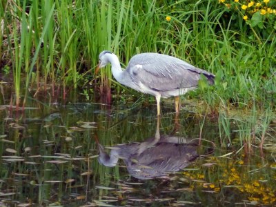 Holiday house Witkowski - Outdoor photo 8