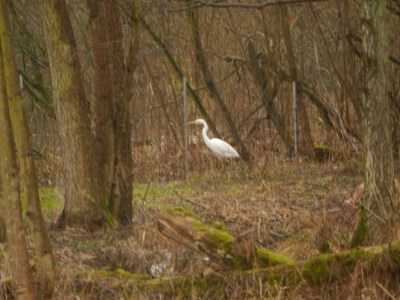 Holiday house Witkowski - Outdoor photo 9