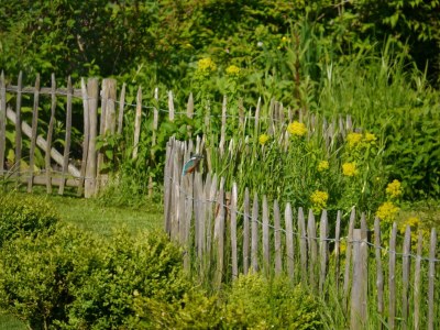 Holiday house Witkowski - Outdoor photo 10