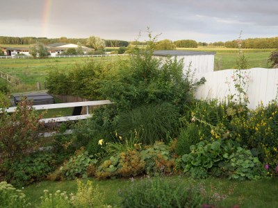 Holiday house Land Fleesensee. - Outdoor photo 4
