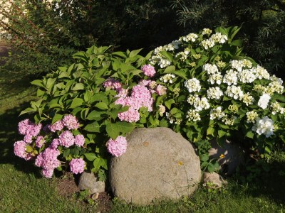 Holiday house Land Fleesensee. - Outdoor photo 6