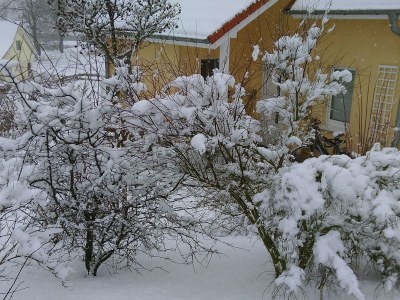 Holiday house Land Fleesensee. - Outdoor photo 8