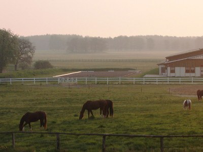 Holiday house Land Fleesensee. - Environment photo 16