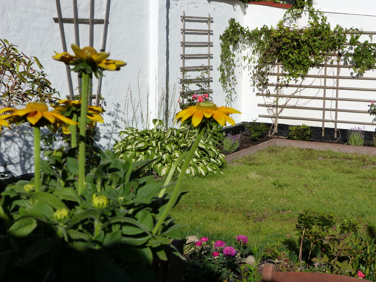 Holiday house Alter Krämerladen - Outdoor photo 5