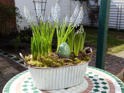 Holiday house Alter Krämerladen - Outdoor photo 2