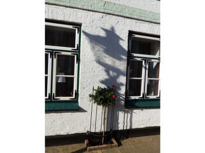 Holiday house Alter Krämerladen - Outdoor photo 3