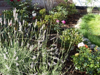 Holiday house Alter Krämerladen - Outdoor photo 8