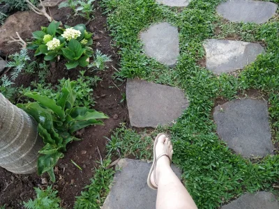 Holiday house Calhau , Calhau Grande - Outdoor photo 2