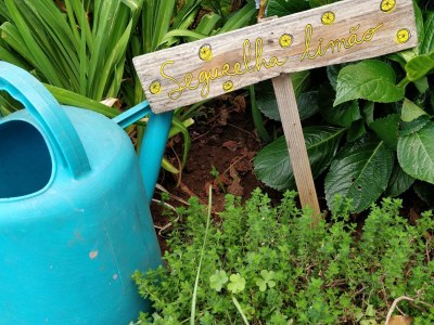 Holiday house Calhau , Calhau Grande - Environment photo 19