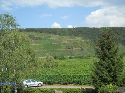 Holiday apartment 'Held' in a guesthouse amidst the vineyards - Outdoor photo 8
