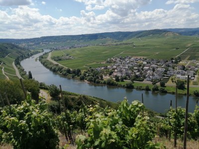 Holiday apartment 'Held' in a guesthouse amidst the vineyards - Outdoor photo 10