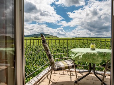 Holiday apartment 'Held' in a guesthouse amidst the vineyards - Features photo 17