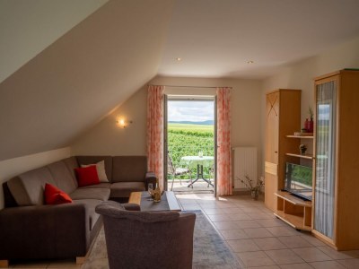Holiday apartment 'Held' in a guesthouse amidst the vineyards - Features photo 18