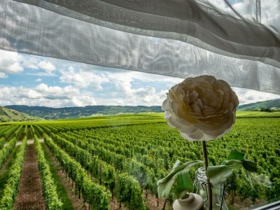 Holiday apartment 'Held' in a guesthouse amidst the vineyards - Features photo 21