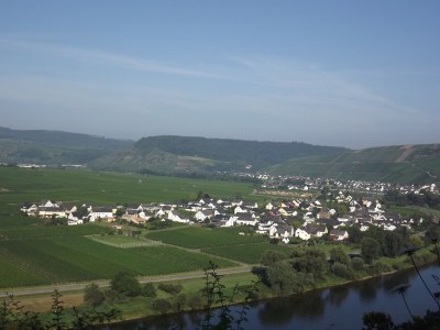 Holiday apartment 'Held' in a guesthouse amidst the vineyards - Environment photo 27