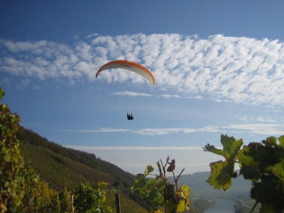 Holiday apartment 'Held' in a guesthouse amidst the vineyards - Environment photo 31