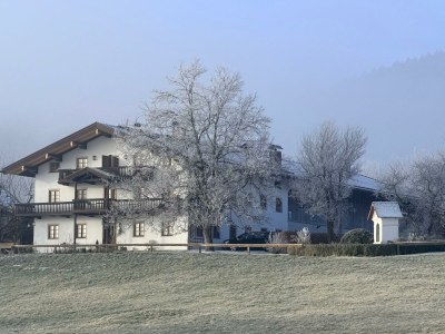 Holiday apartment Biohof Schwaig Sonnenhut - Outdoor photo 3