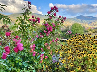 Holiday apartment Biohof Schwaig Sonnenhut - Outdoor photo 9