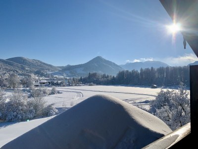 Holiday apartment Biohof Schwaig Sonnenhut - Outdoor photo 13