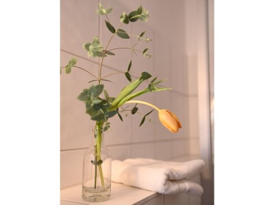 Holiday apartment Biohof Schwaig Sonnenhut - Features photo 33