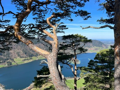 Holiday apartment Biohof Schwaig Sonnenhut - Environment photo 37