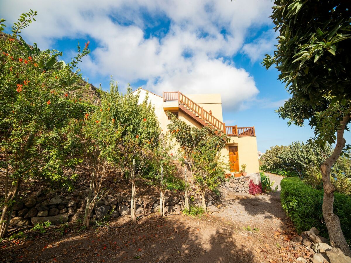 Holiday house Holiday home Icod de los Vinos - Outdoor photo 4