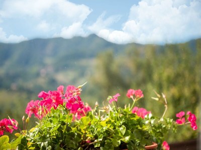 Farmhouse Bauernhaus in Apecchio mit Aussicht - Outdoor photo 40