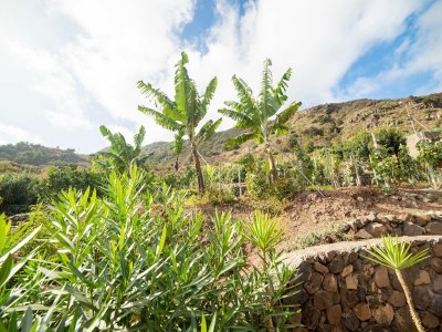 Holiday house Ferienhaus in Icod mit Strandblick - Environment photo 25