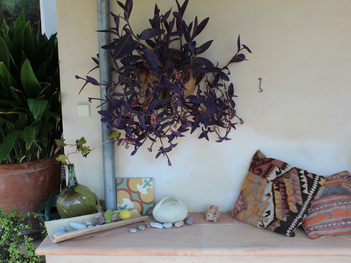 Holiday house Ca´n Moscatell - Outdoor photo 3