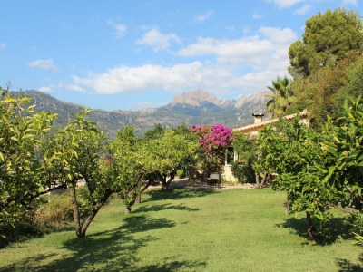 Holiday house Ca´n Moscatell - Environment photo 24