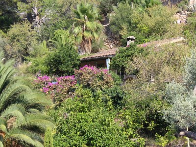 Holiday house Ca´n Moscatell - Environment photo 26