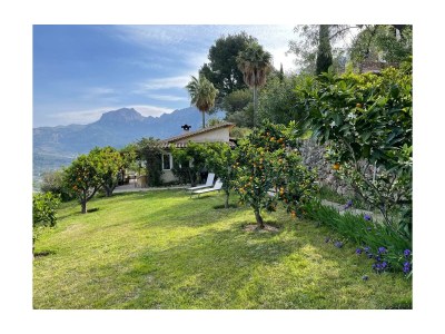 Holiday house Ca´n Moscatell - Environment photo 31